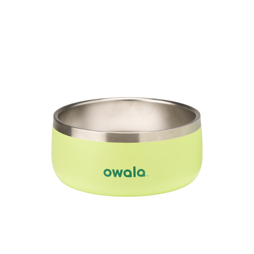 Pet Bowl - Sweet Treat